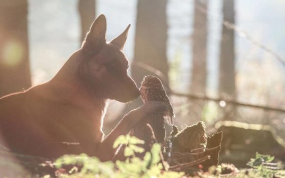 В Одессе погода будет теплой с незначительным похолоданием к вечеру «фото»