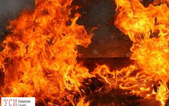 В Рени при пожаре погибла женщина «фото»