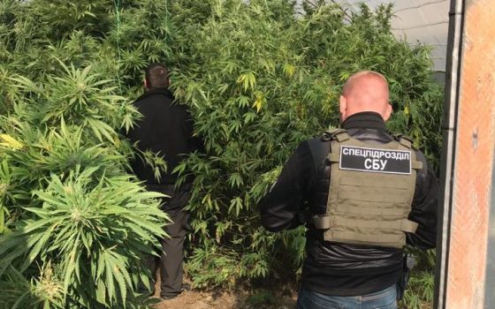 СБУ “накрыла” масштабную нарколабораторию в Одесской области (фото) «фото»