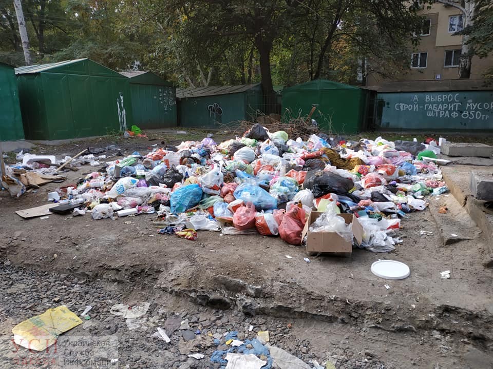 На Черемушках жители устроили свалку из-за сдвинутых контейнеров «фото»