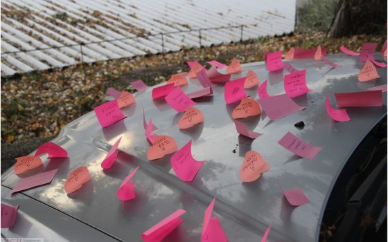 Одесситка украсила авто любимого сотней записочек с признаниями в любви (фото) «фото»