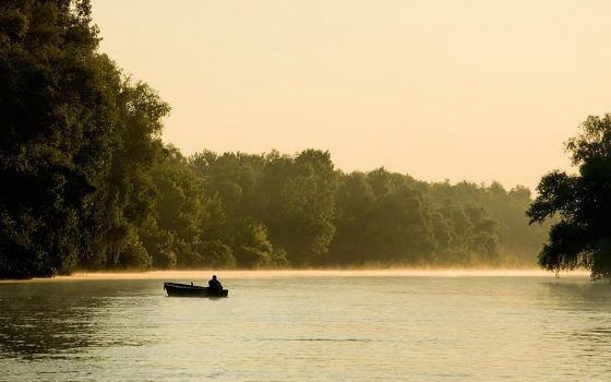 Природу дельты Дуная будут восстанавливать за крупный европейский грант «фото»