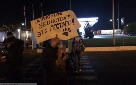 Километровая пробка в Черноморск рассосалась, но зоозащитники продолжают блокировать дорогу (фото, видео) «фото»