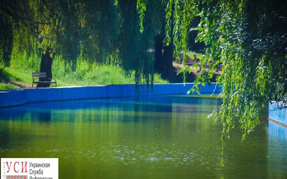 В парке Победы строят мостик в “тихой части” парка «фото»