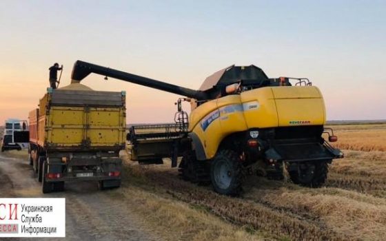 В Одесской области начали собирать рис: аграрии ждут хороший урожай «фото»