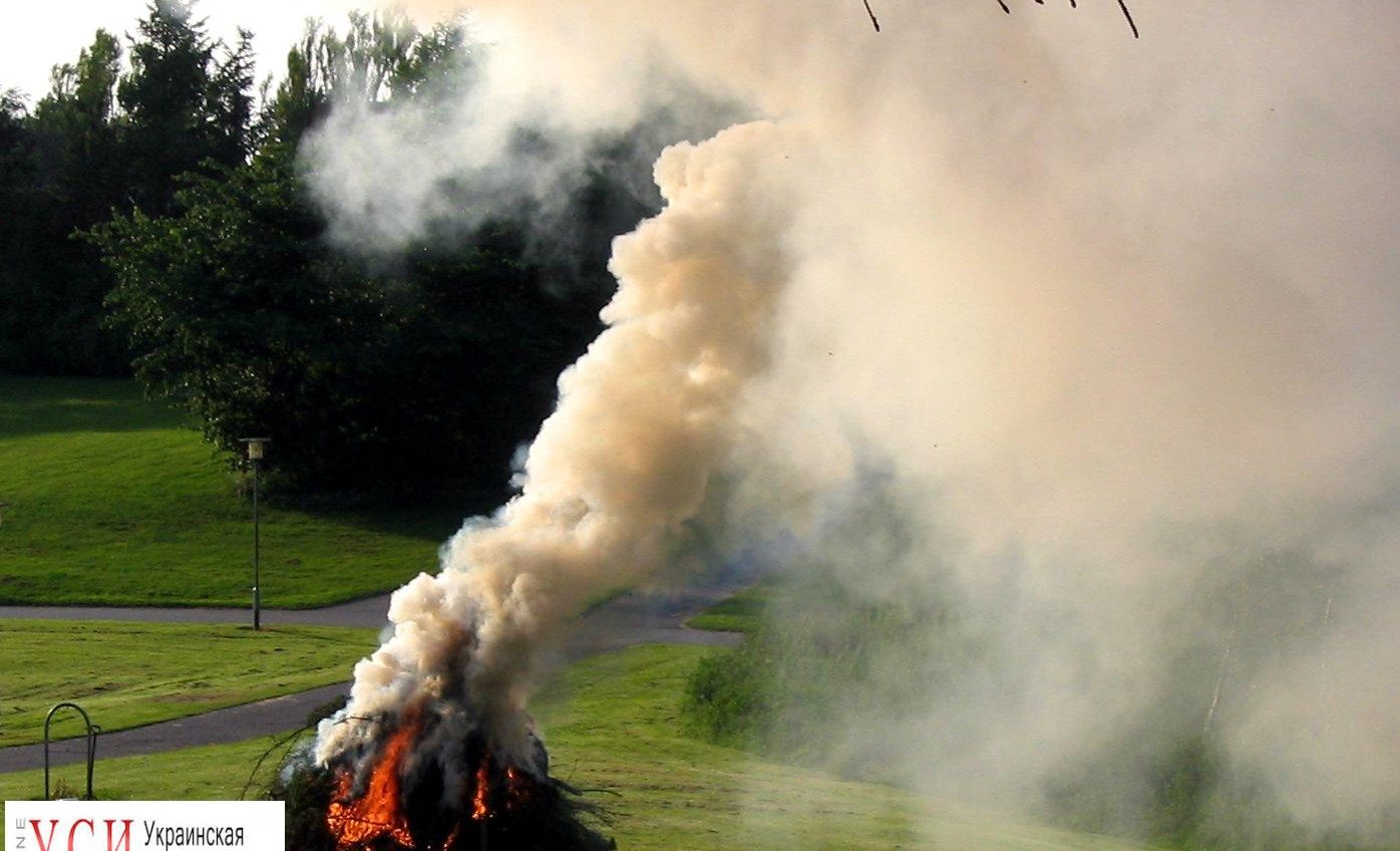 Одесситов призывают не сжигать листья – это хуже курения и вредит природе «фото»