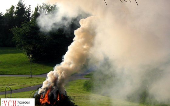 Одесситов призывают не сжигать листья – это хуже курения и вредит природе «фото»