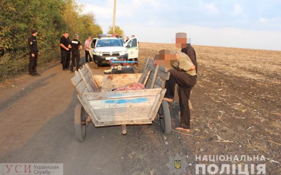 Отсидевший уроженец Ананьева связал, вывез за село и забил арматурой знакомого «фото»