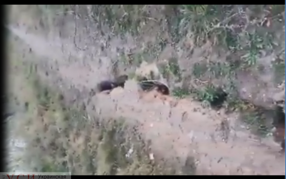 “Еще немного и склон уйдет вниз”: на Фонтане появились новые трещины (видео) «фото»