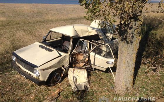 В Саратском районе “копейка” влетела в дерево на обочине: водитель погиб (фото) «фото»