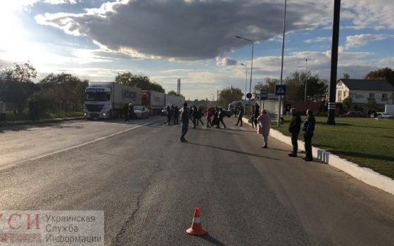 Зоозащитники ради овец перекрыли дорогу из Черноморска (фото) «фото»