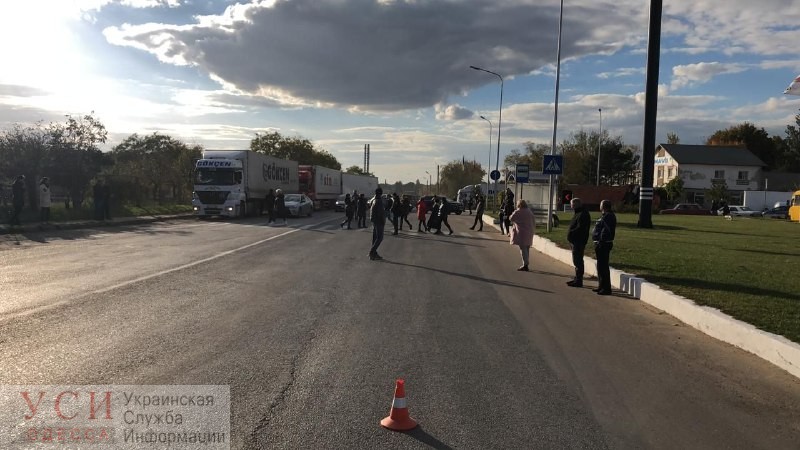 Зоозащитники ради овец перекрыли дорогу из Черноморска (фото) «фото»