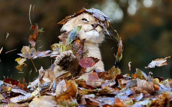 В Одессе по-прежнему будет тепло «фото»