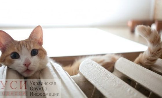 ОСМД и ЖКС не хотят брать тепло, которое наработали котельные «фото»