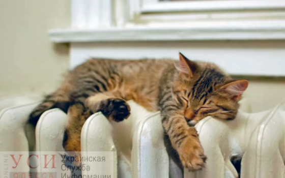 В восьми районах Одесской области начался отопительный сезон «фото»