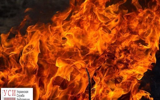 Два человека погибли на пожаре под Одессой «фото»