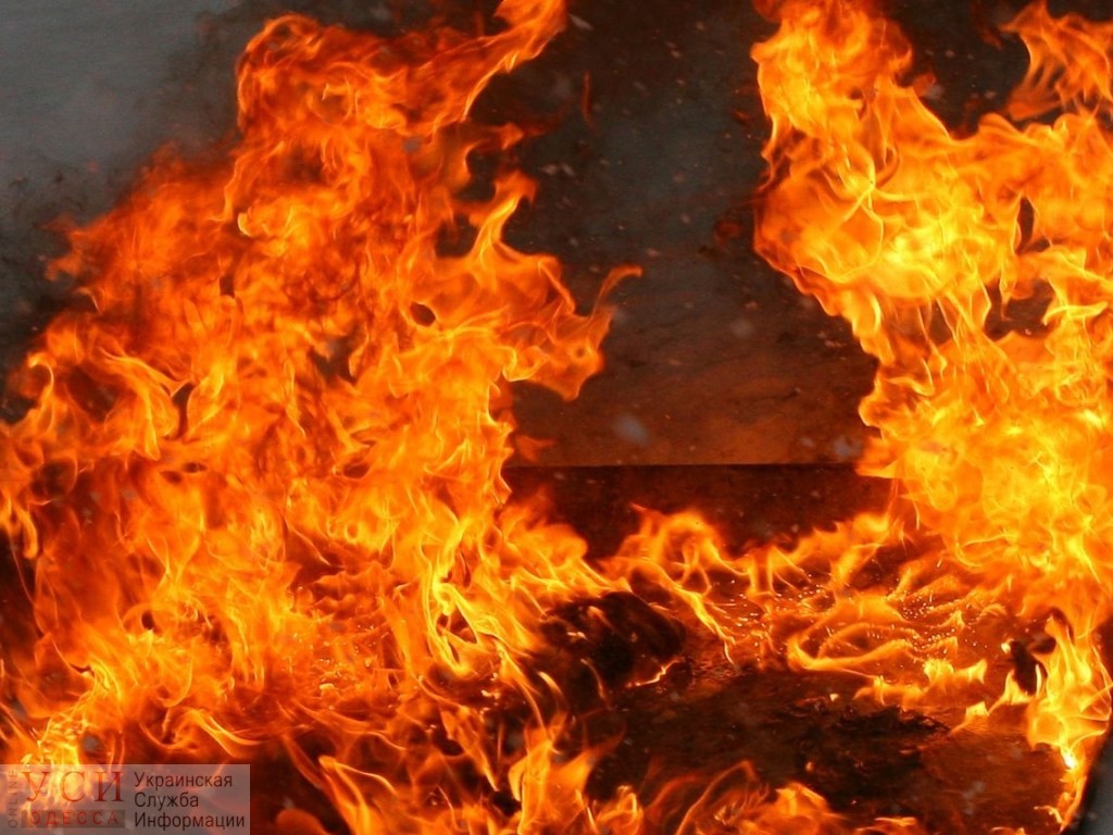 Во время пожара в Кодымском районе погибла 79-летняя женщина «фото»