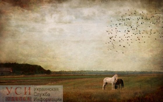 Ноябрь встретит Одессу погодой без осадков «фото»