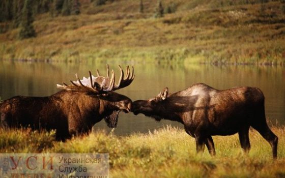 В Одессе по-прежнему будет тепло «фото»