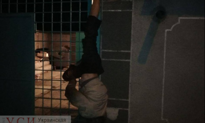 Ночью в Одессе вор украл из магазина две бутылки просроченного пива и застрял вниз головой на заборе (фото) usionline.com Ночью в Одессе вор украл из магазина две бутылки просроченного пива и застрял вниз головой на заборе (фото) «фото»