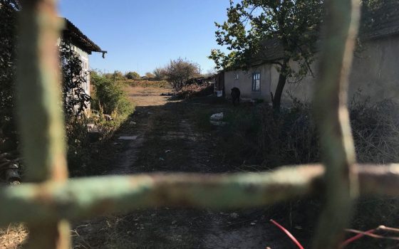 Дезинфекция, экстренная вакцинация и карантин: вторая вспышка “сибирки” в Одесской области (фоторепортаж) «фото»