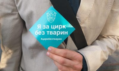 “Животные не игрушки”: у Одесского цирка прошла очередная акция зоозащитников (фото) «фото»