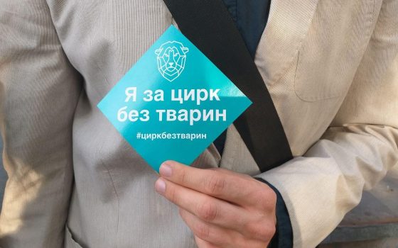“Животные не игрушки”: у Одесского цирка прошла очередная акция зоозащитников (фото) «фото»