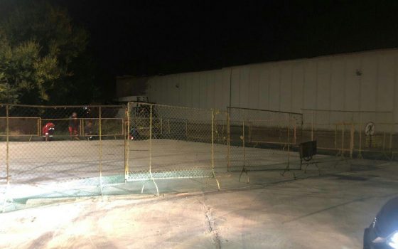 В Черноморском порту построили загон для овец, но животных не выпускают и хотят их утилизировать (фото) «фото»