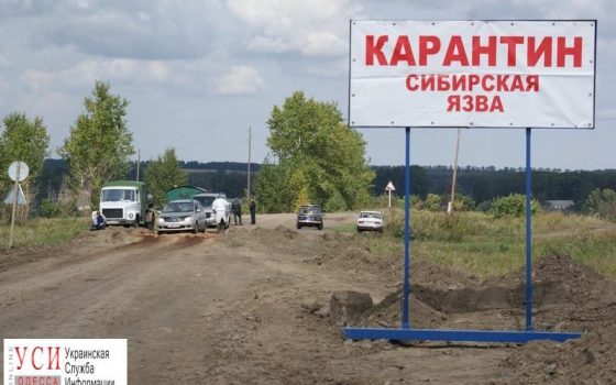 Вспышка сибирской язвы: Нацгвардия установила карантинные посты в Саратском районе usionline.com Вспышка сибирской язвы: Нацгвардия установила карантинные посты в Саратском районе «фото»