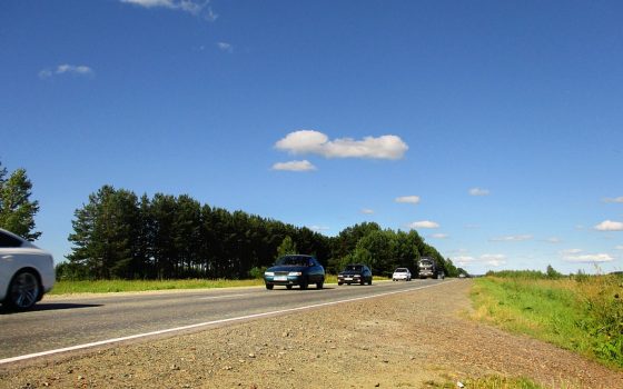 Невыполненные обещания чиновников привели к гибели женщины под колесами фуры в Одесской области (видео) «фото»