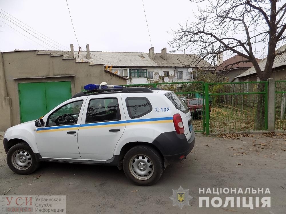 В Белгороде-Днестровском пьяный мужчина избил полицейских и выбил ножом стекло служебного авто (фото) «фото»