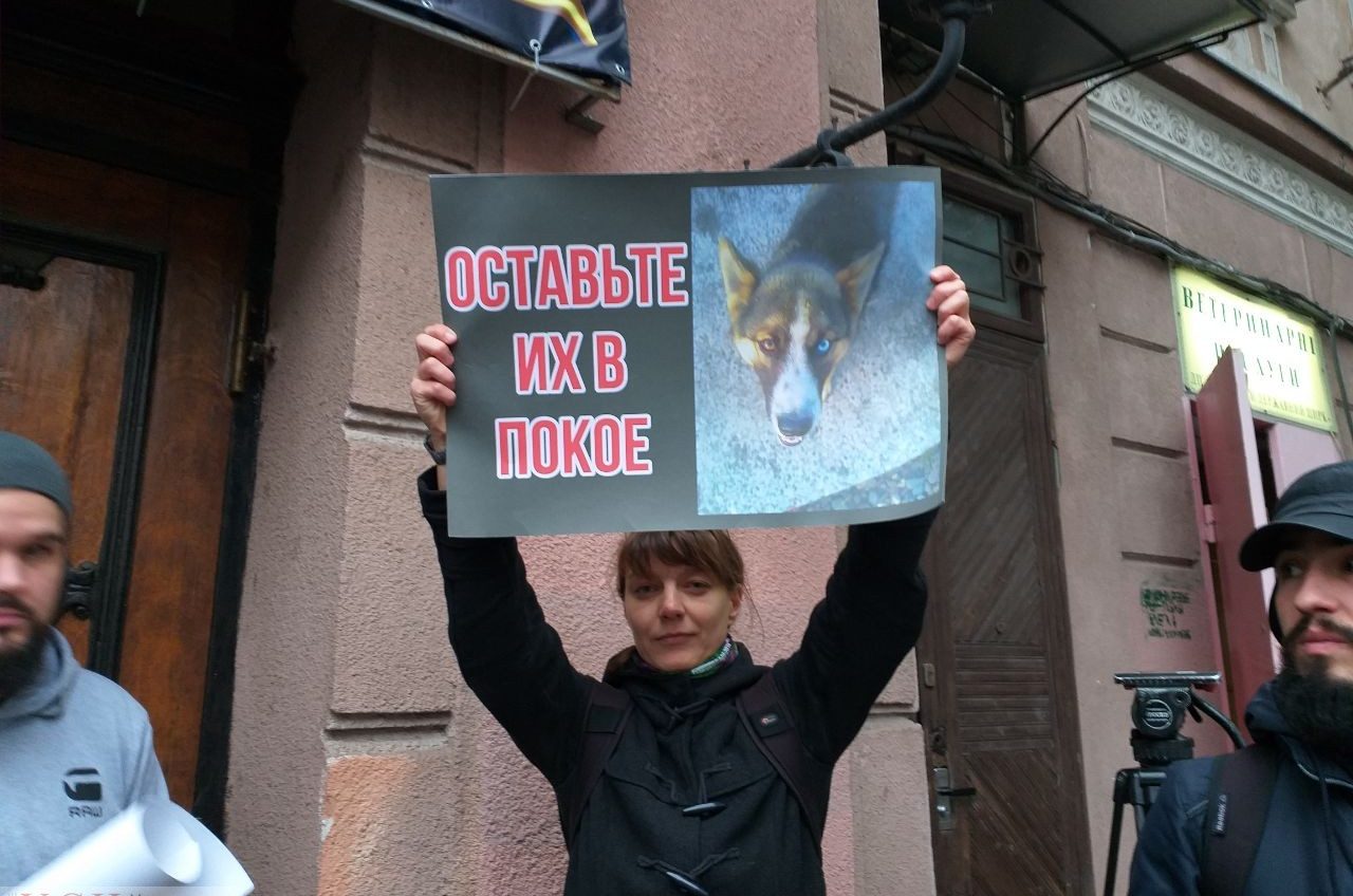 В Одессе протестовали против использования диких животных в цирке: без конфликта не обошлось (фото) «фото»