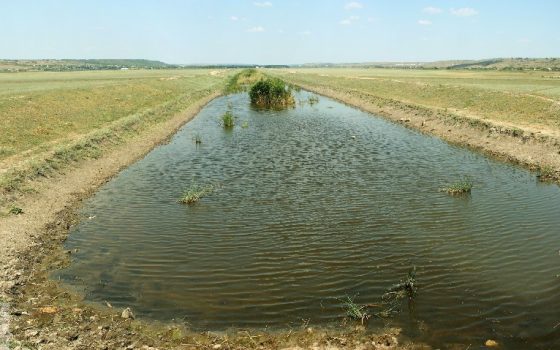 Экологи готовятся расчистить русло реки Большой Куяльник и изучать состояние одесского “Мертвого моря” «фото»