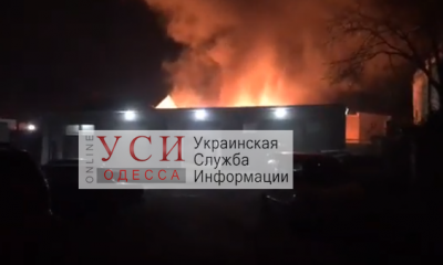 В Одессе горит частный дом, хозяйку пытаются успокоить медики (видео) ОБНОВЛЯЕТСЯ usionline.com В Одессе горит частный дом, хозяйку пытаются успокоить медики (видео) ОБНОВЛЯЕТСЯ «фото»