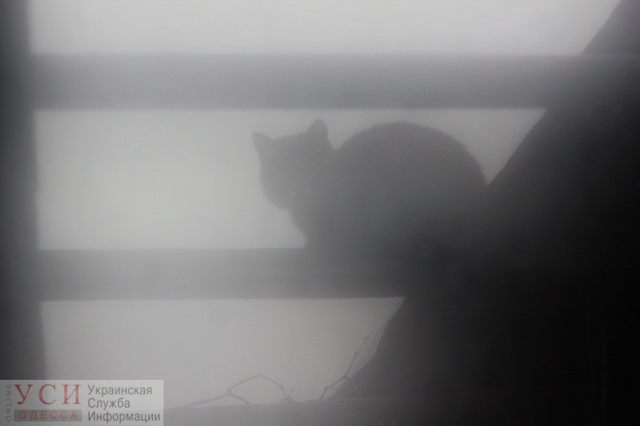 Из-за сильного тумана в Одессе объявлено штормовое предупреждение «фото»