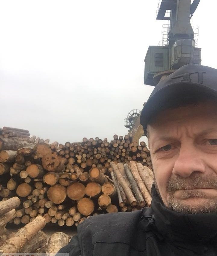 Мосийчук обнаружил контрабандную древесину в Ренийском порту «фото»