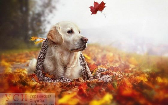 В Одессе обещают ясную погоду «фото»