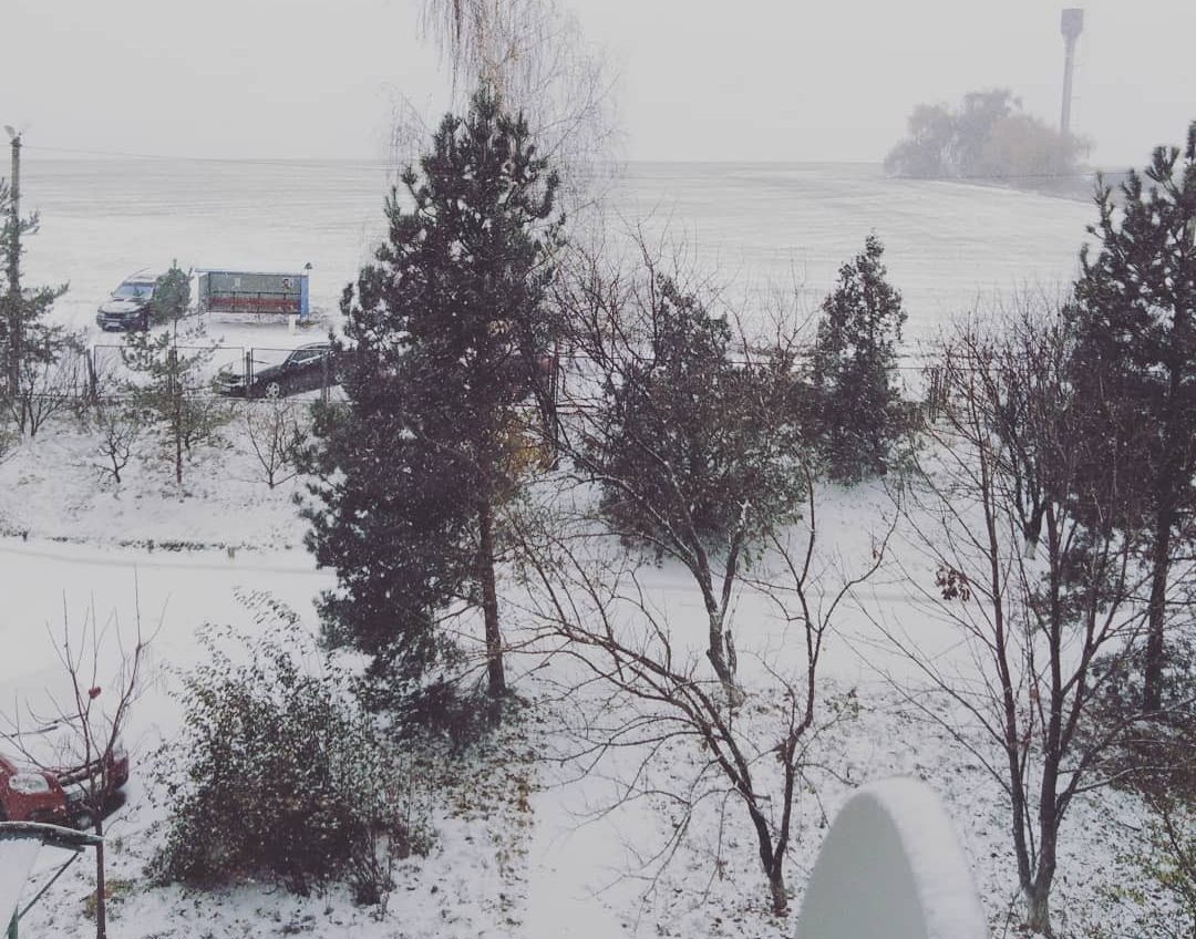 Зима близко: в Одесской области выпал первый снег (фото, видео) «фото»