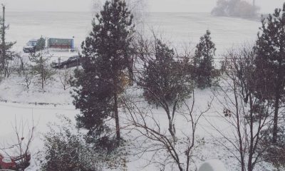 Зима близко: в Одесской области выпал первый снег (фото, видео) «фото»