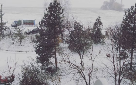 Зима близко: в Одесской области выпал первый снег (фото, видео) «фото»