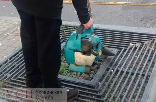 Одесские коммунальщики садовым пылесосом выдули окурки из лунок деревьев «фото»