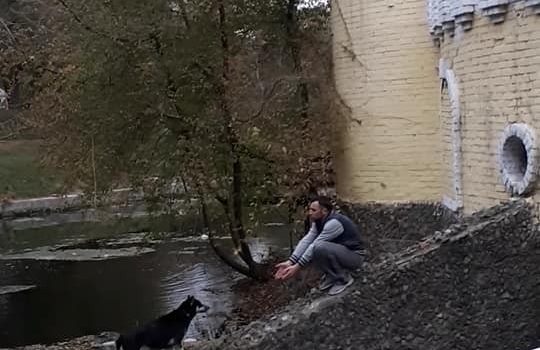 В Одессе прохожие спасли брошенную посреди пруда собаку, на помощь которой сотрудники ГСЧС отказались приехать (фото, видео) «фото»