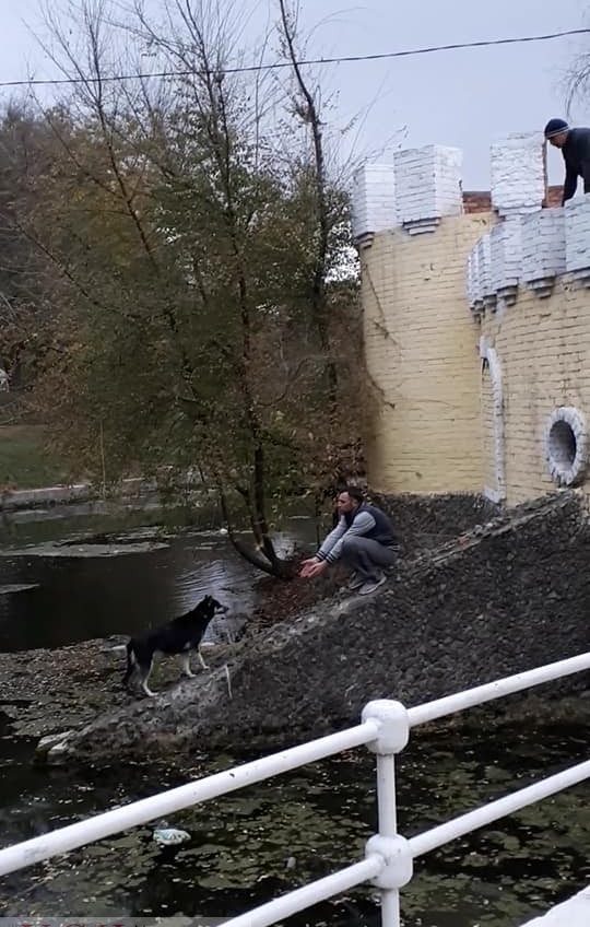 В Одессе прохожие спасли брошенную посреди пруда собаку, на помощь которой сотрудники ГСЧС отказались приехать (фото, видео) «фото»