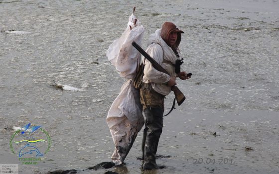 Браконьер угрожал открыть огонь из ружья по сотрудникам нацпарка “Тузловские лиманы” (фото) «фото»