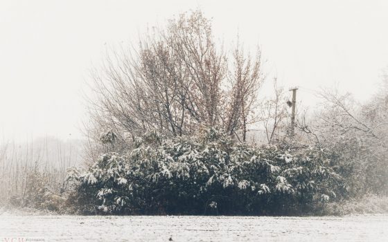 Заснеженное утро Одесской окраины (фоторепортаж) «фото»