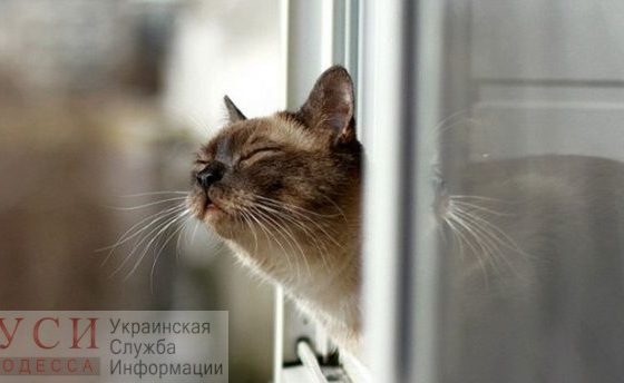 Одесситов ждет аномально теплое начало зимы «фото»