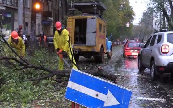 В Одессе на автомобиль упала огромная ветка акации (фото) «фото»