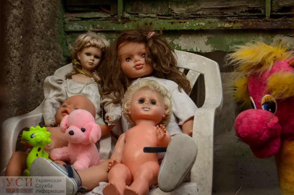 Бездомные игрушки: как одесситы украшают дворы старыми куклами, зайцами и мишками (фоторепортаж) «фото»