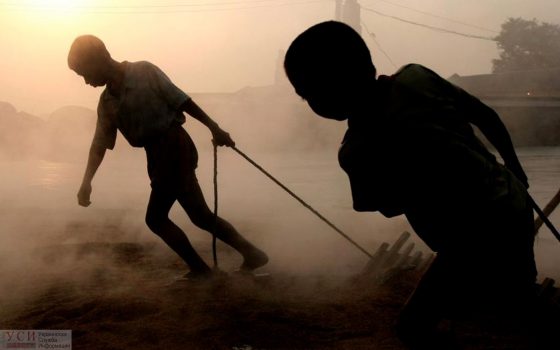 В Одесской области зафиксировали 17 случаев эксплуатации детского труда «фото»