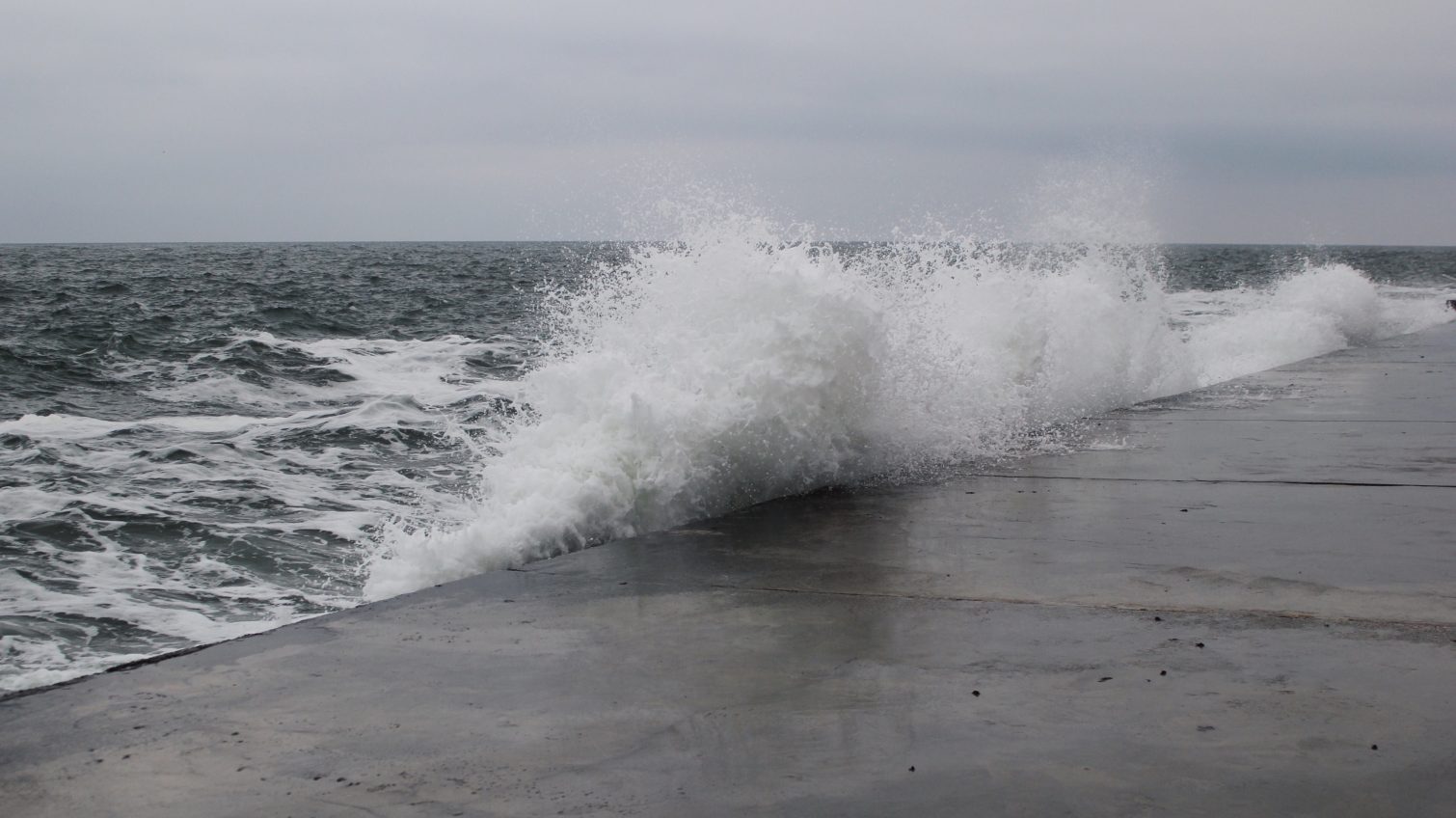 Первый шторм в Одессе: серфинг, экстремальная рыбалка и селфи в волнах (фоторепортаж) «фото»